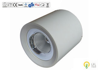 확장 된 알루미늄 상업용 LED 야외 조명