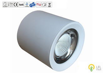 50000hrs 30W 에피스타 칩과 함께 방수 야외 LED 광전지 플라드 라이트